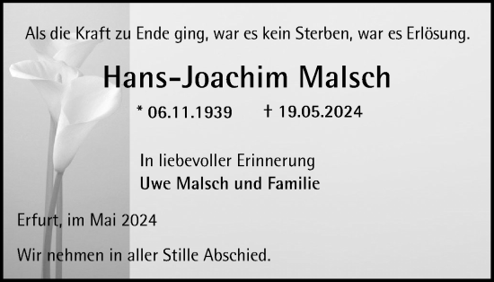 Traueranzeige von Hans-Joachim Malsch von Thüringer Allgemeine, Thüringische Landeszeitung