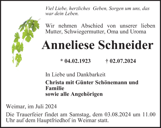 Traueranzeige von Anneliese Schneider von Thüringer Allgemeine, Thüringische Landeszeitung