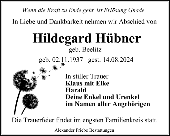 Traueranzeige von Hildegard Hübner von Thüringer Allgemeine, Thüringische Landeszeitung