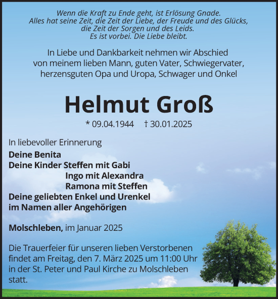 Traueranzeige von Helmut Groß von Thüringer Allgemeine, Thüringische Landeszeitung