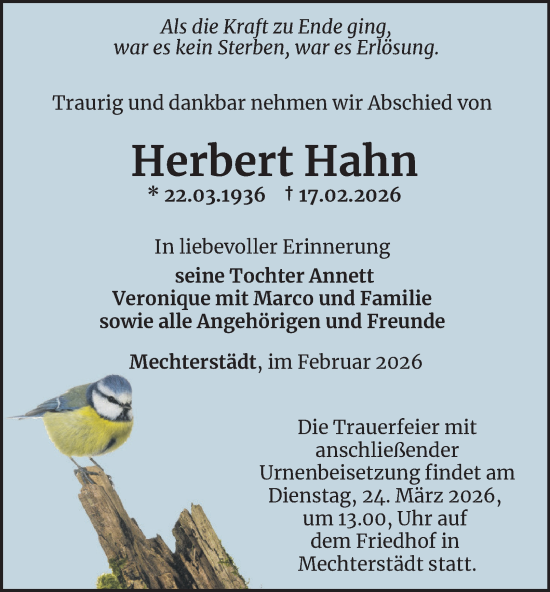 Traueranzeige von Herbert Hahn von Thüringer Allgemeine, Thüringische Landeszeitung