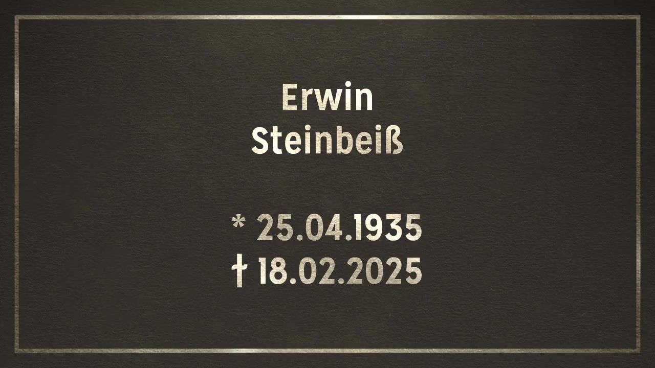  Videoanzeige 1