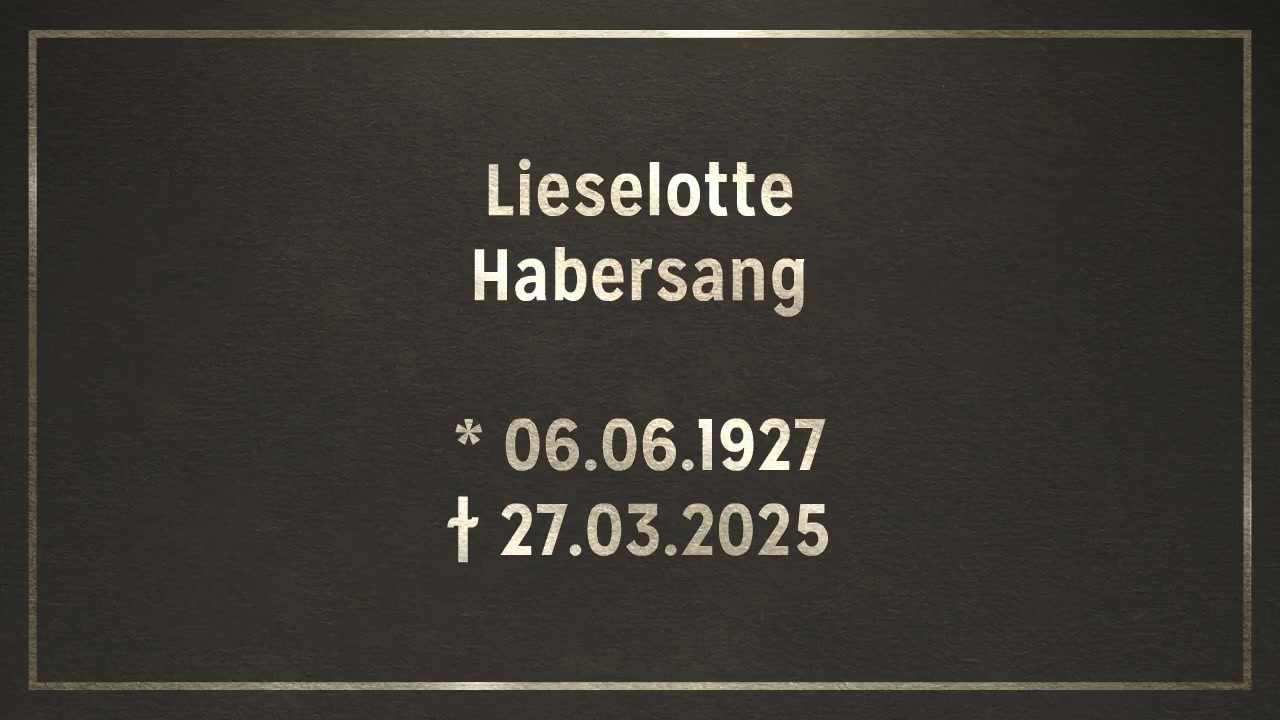  Videoanzeige 2