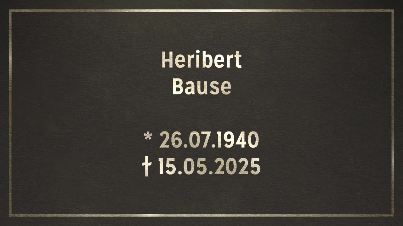  Videoanzeige 2
